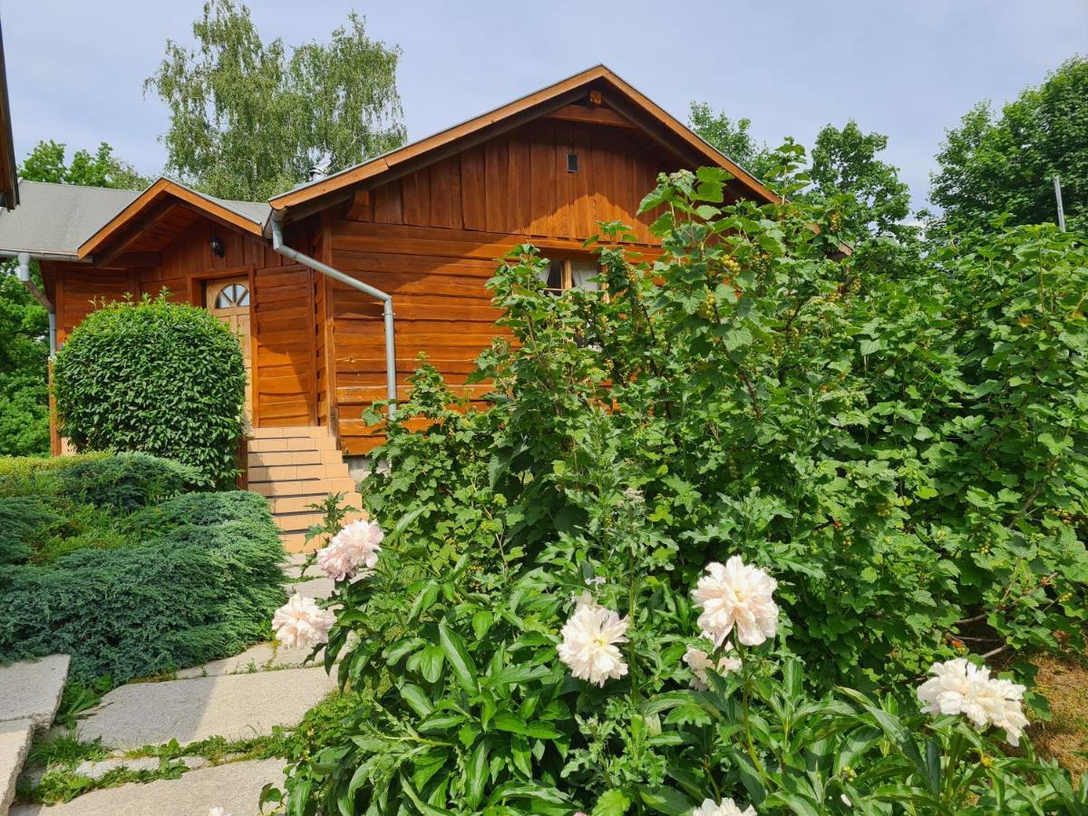 Teatralna1 Villa Piechowice Kültér fotó